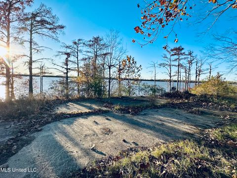 Vacant Land For Sale - E/s Lake Mary Road<br/> Wilkinson County, Woodville, MS 39669