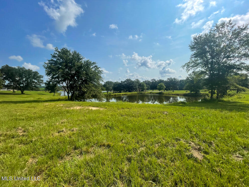 Lot 8 Conner Stringer Drive, Lucedale, Mississippi image 2