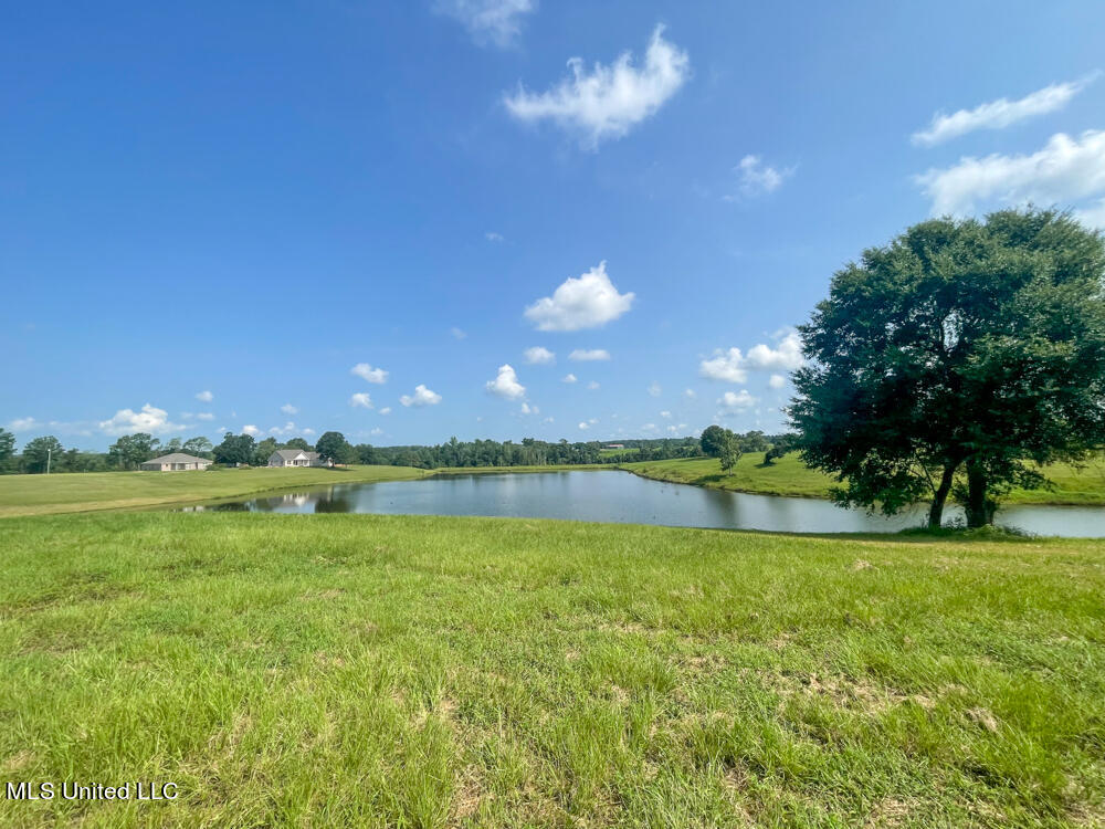 Lot 8 Conner Stringer Drive, Lucedale, Mississippi image 43