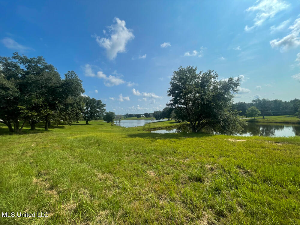 Lot 8 Conner Stringer Drive, Lucedale, Mississippi image 30