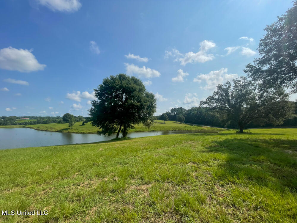 Lot 8 Conner Stringer Drive, Lucedale, Mississippi image 47