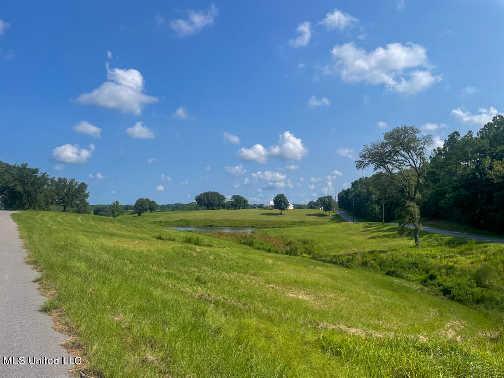 Lot 8 Conner Stringer Drive, Lucedale, Mississippi image 37