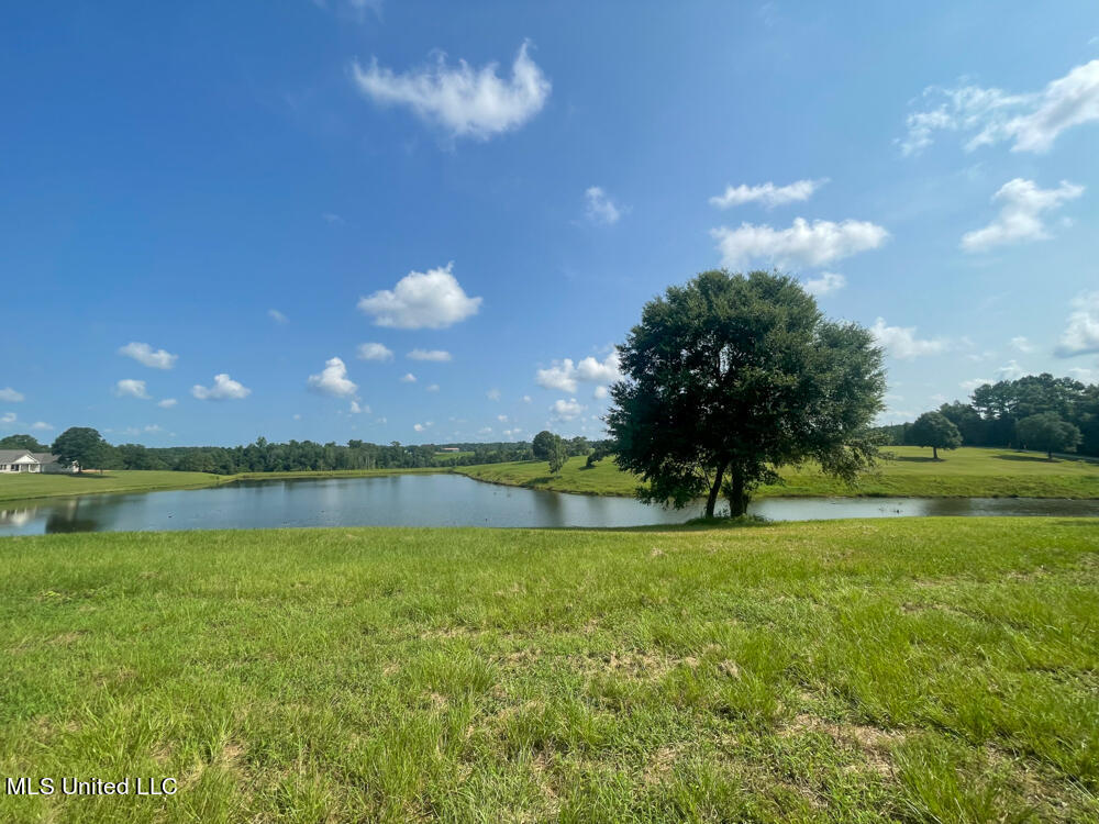 Lot 8 Conner Stringer Drive, Lucedale, Mississippi image 46