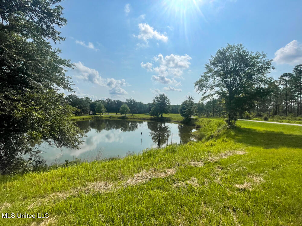 Lot 8 Conner Stringer Drive, Lucedale, Mississippi image 34