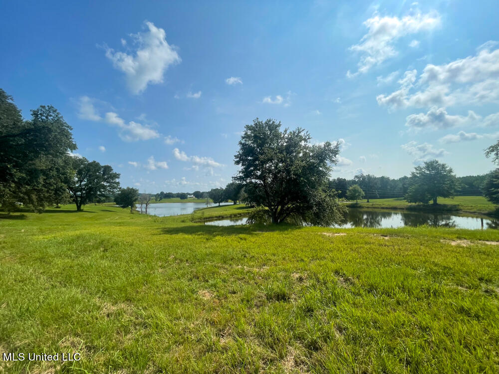 Lot 8 Conner Stringer Drive, Lucedale, Mississippi image 31