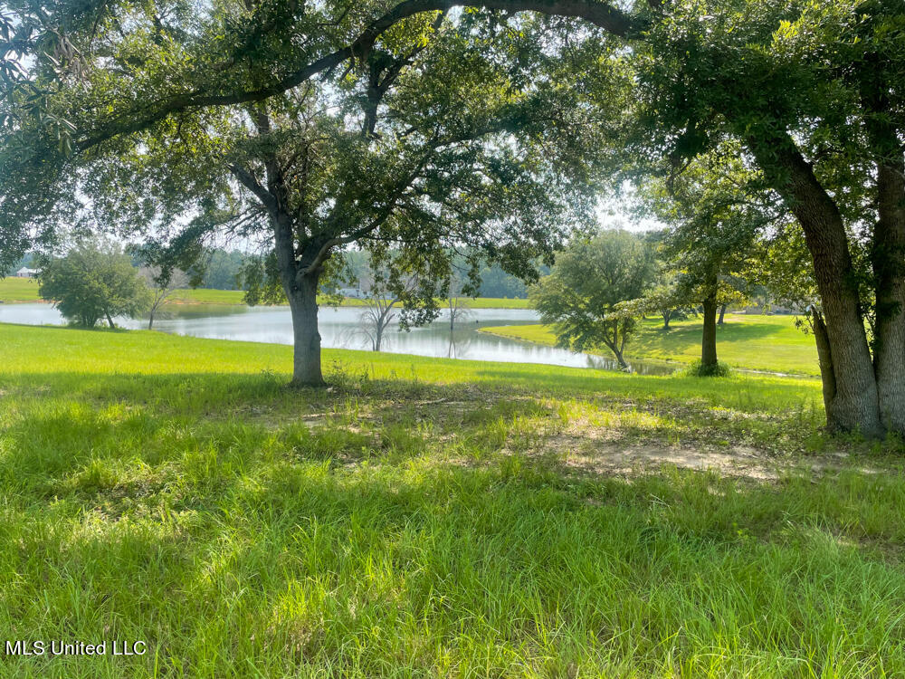 Lot 8 Conner Stringer Drive, Lucedale, Mississippi image 19