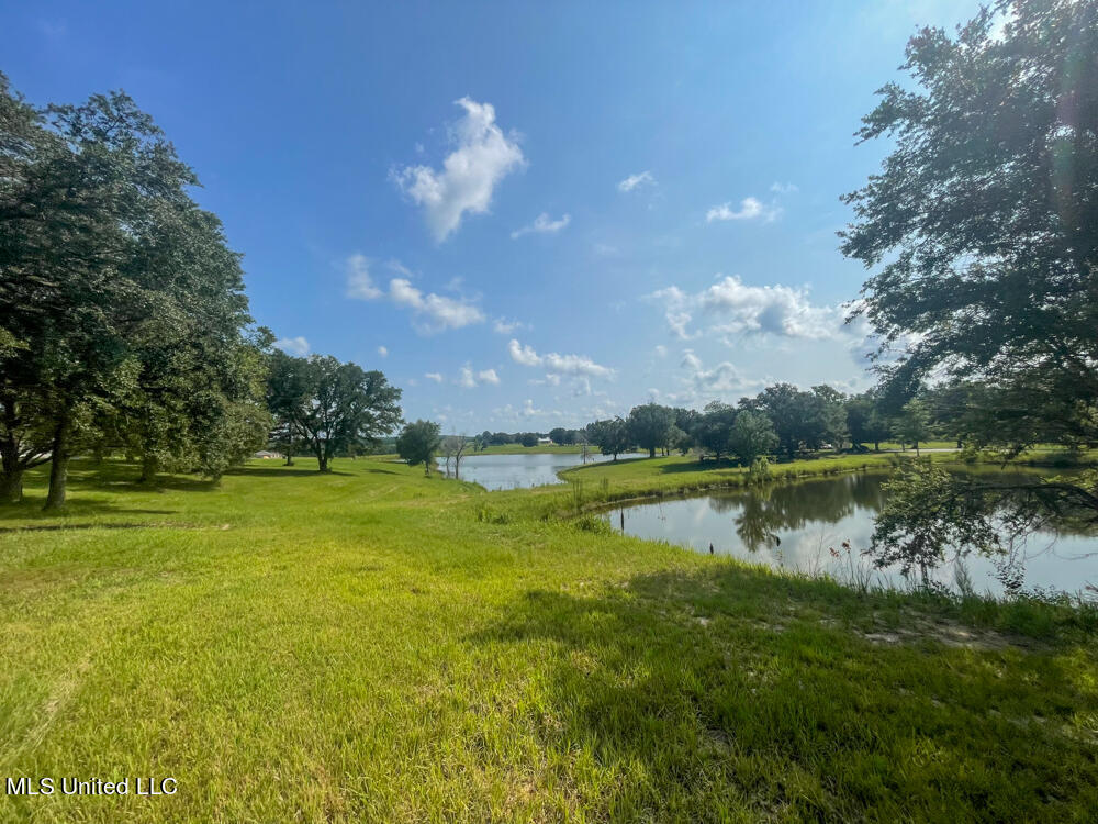 Lot 8 Conner Stringer Drive, Lucedale, Mississippi image 32