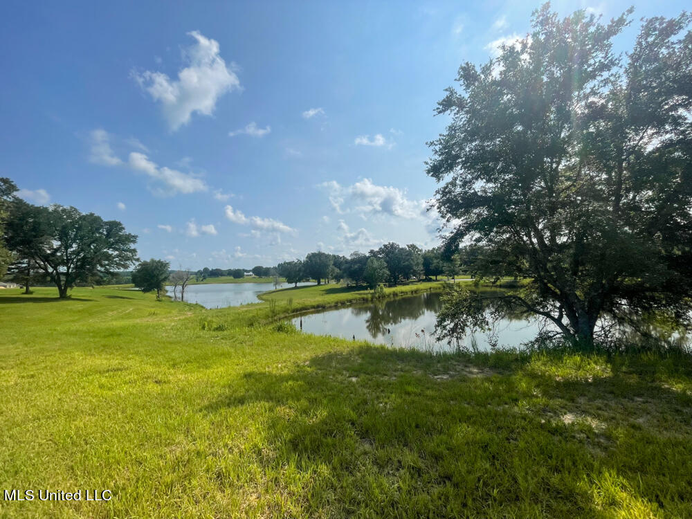 Lot 8 Conner Stringer Drive, Lucedale, Mississippi image 33