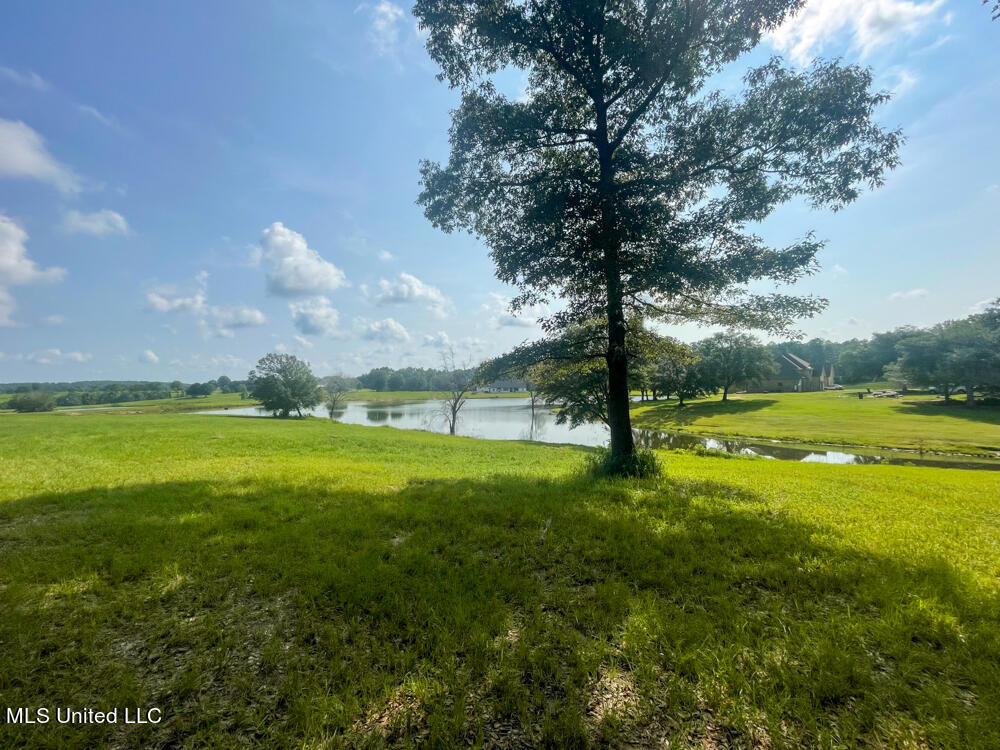 Lot 8 Conner Stringer Drive, Lucedale, Mississippi image 22