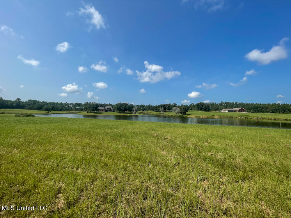 Lot 8 Conner Stringer Drive, Lucedale, Mississippi image 48