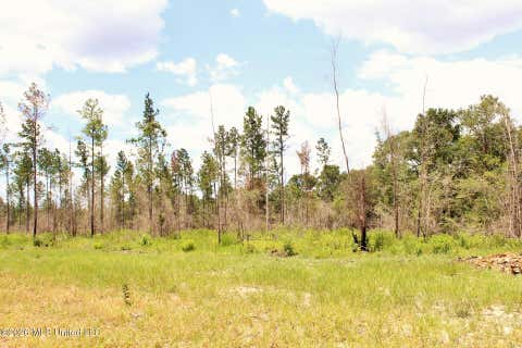 Vacant Land For Sale - 3.78AC Cottonwood Drive<br/> Lucedale, MS 39452