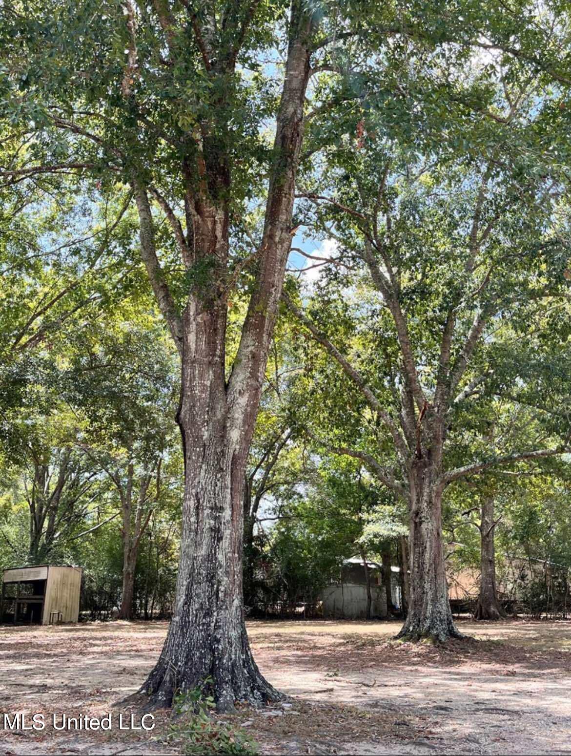 11051 Cody Lane, Picayune, Mississippi image 12