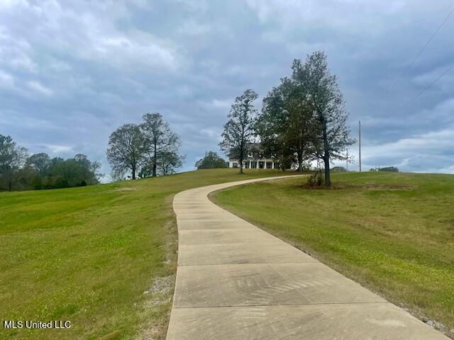 1888 Springfield Road, Senatobia, Mississippi image 13