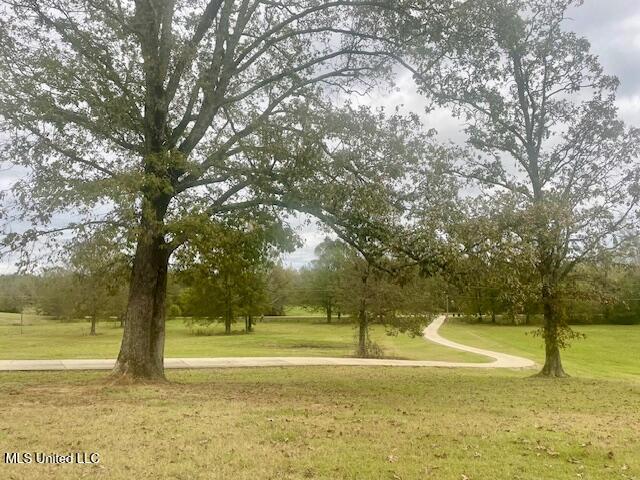 1888 Springfield Road, Senatobia, Mississippi image 17