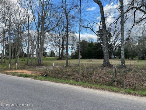 Vacant Land For Sale - 800 Elm Avenue<br/> Richton, MS 39476