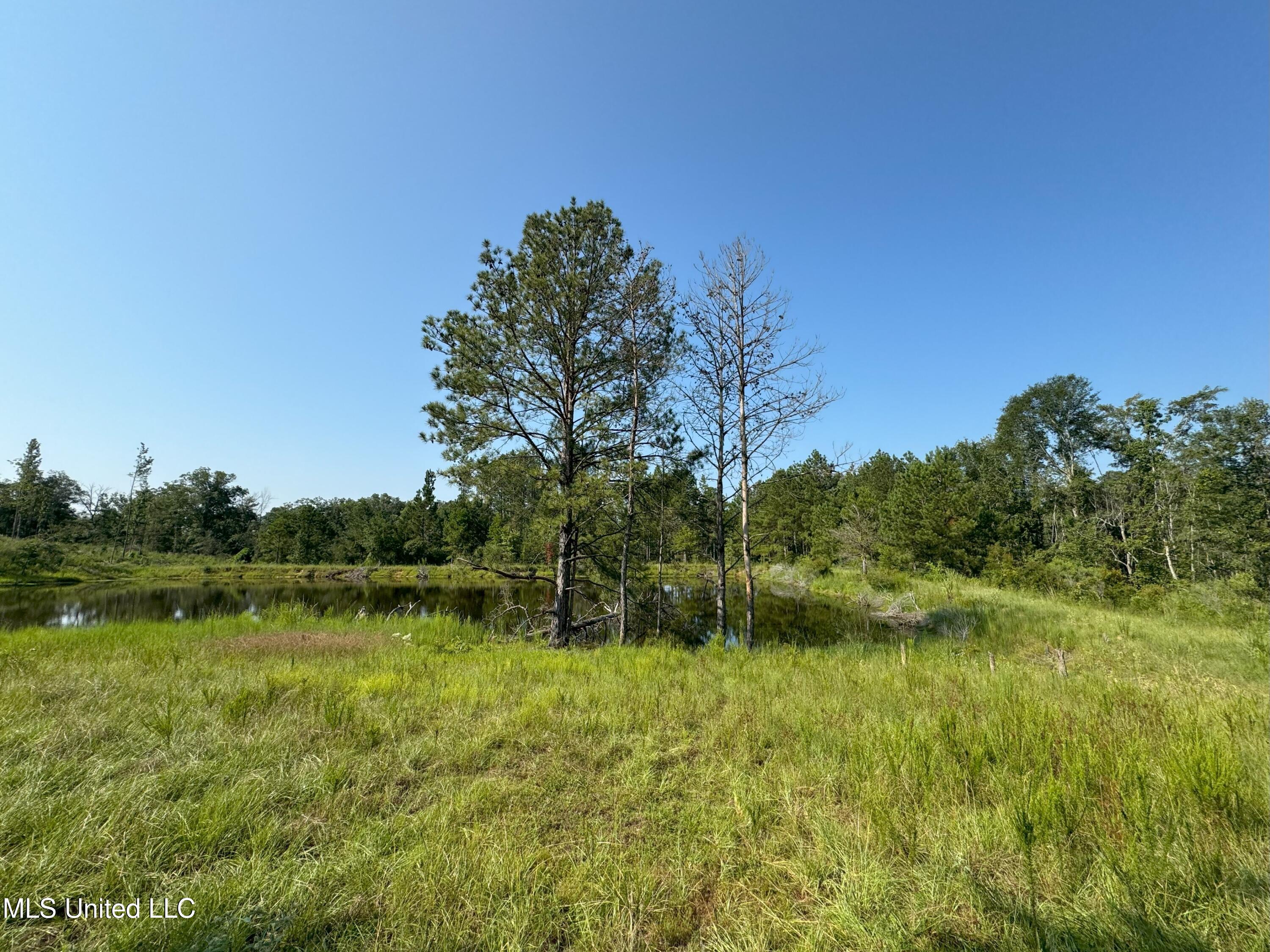 King Road, Wesson, Mississippi image 9