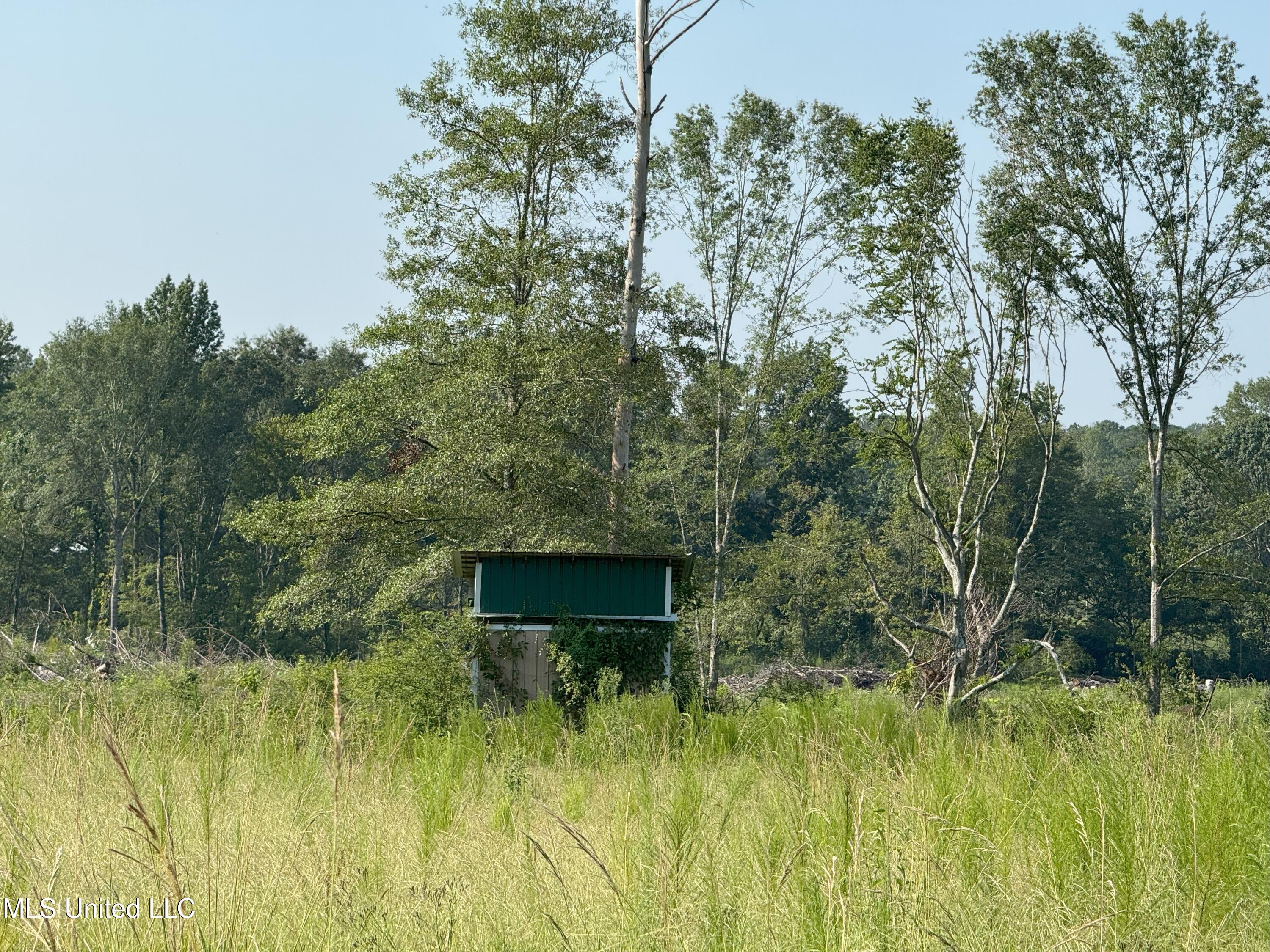 King Road, Wesson, Mississippi image 7