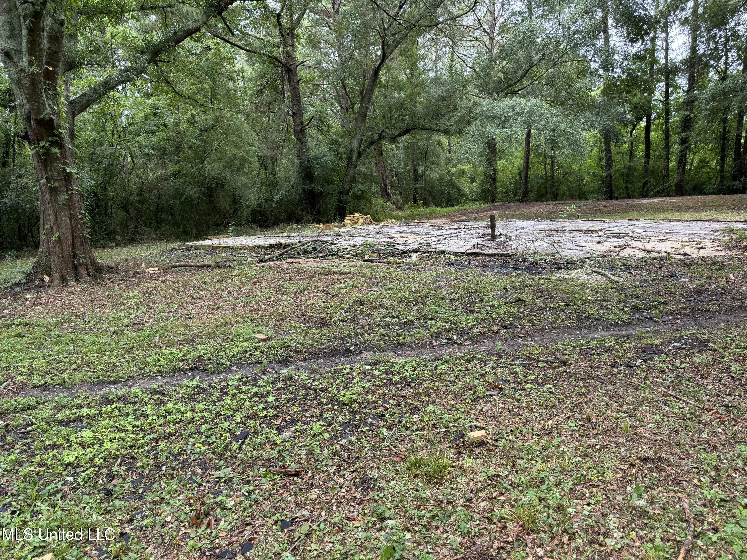 Farris Circle Circle, Morton, Mississippi image 3