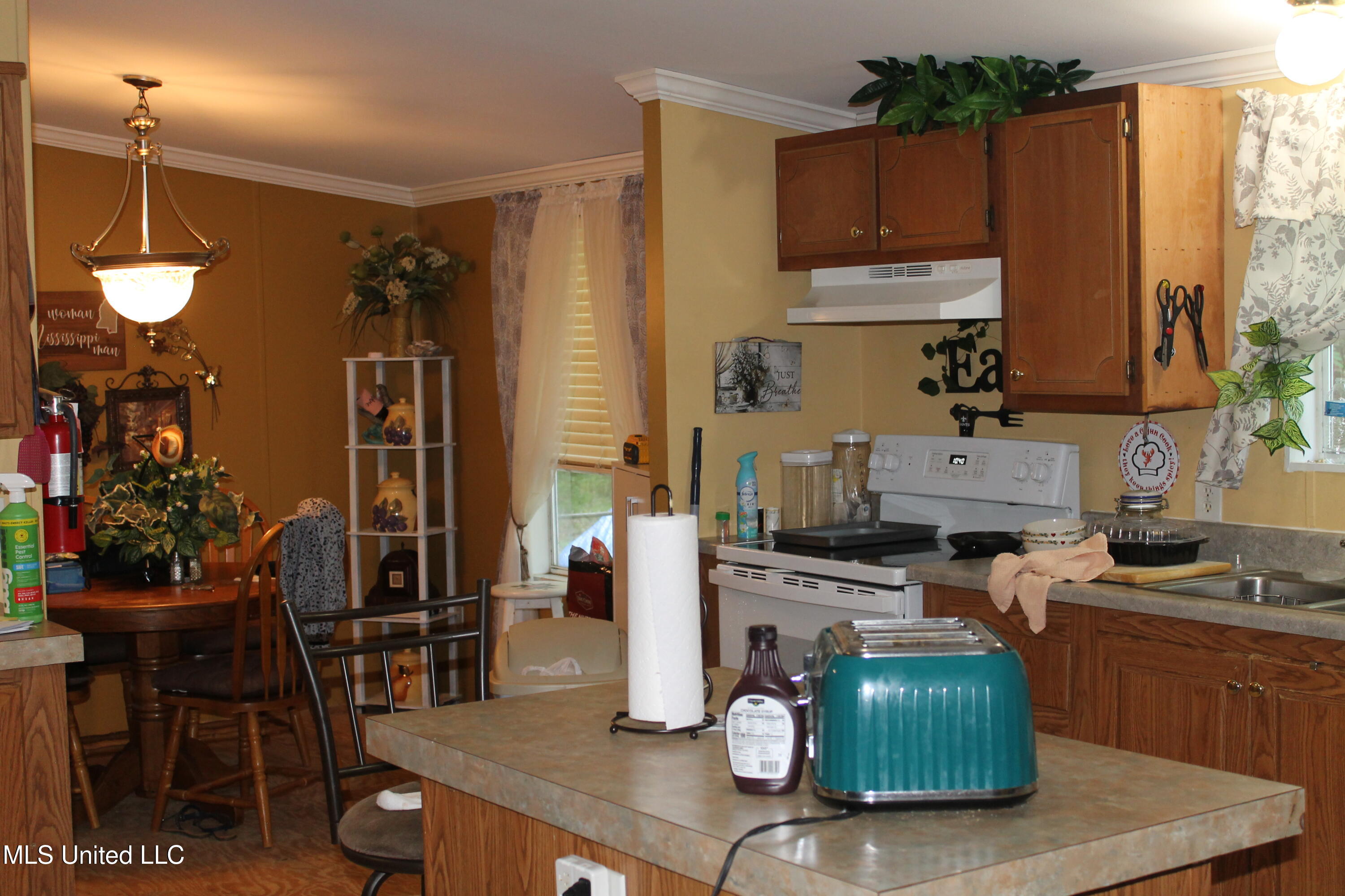 938 Pine Grove Road, Picayune, Mississippi image 2