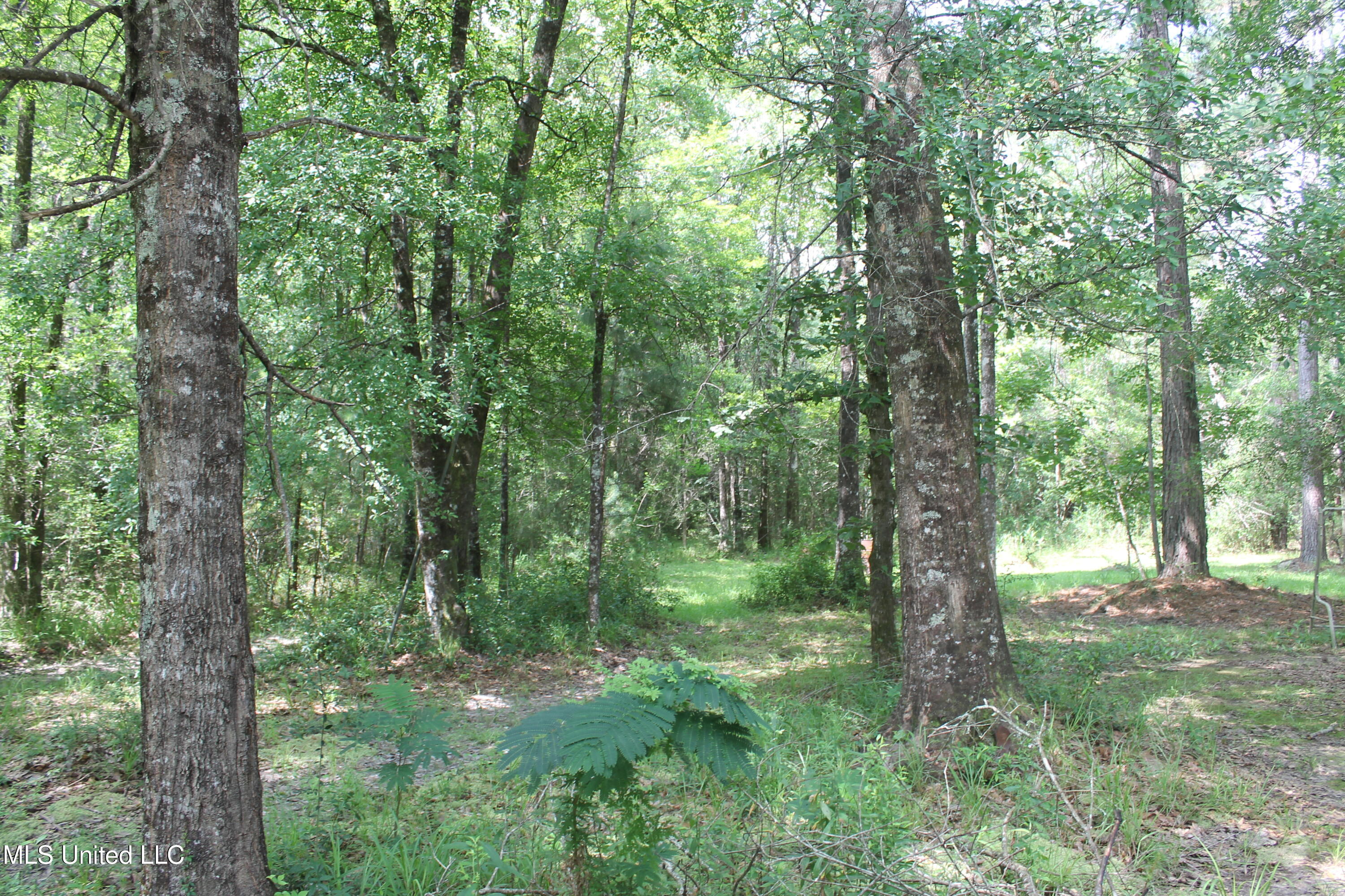 938 Pine Grove Road, Picayune, Mississippi image 14