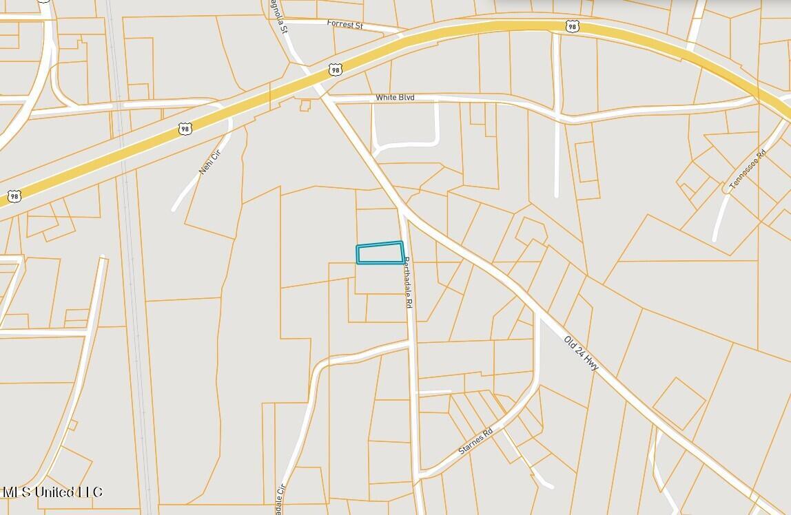 2109 Berthadale Road, McComb, Mississippi image 2