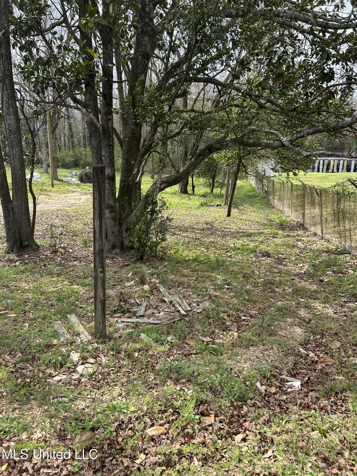 2109 Berthadale Road, McComb, Mississippi image 3