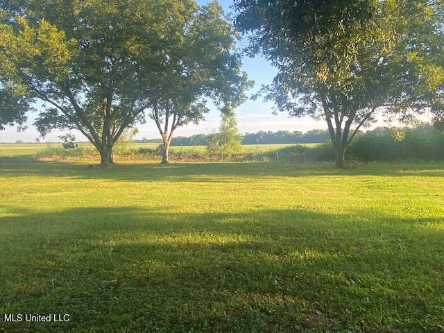 710 Eubanks Road, Alligator, Mississippi image 16