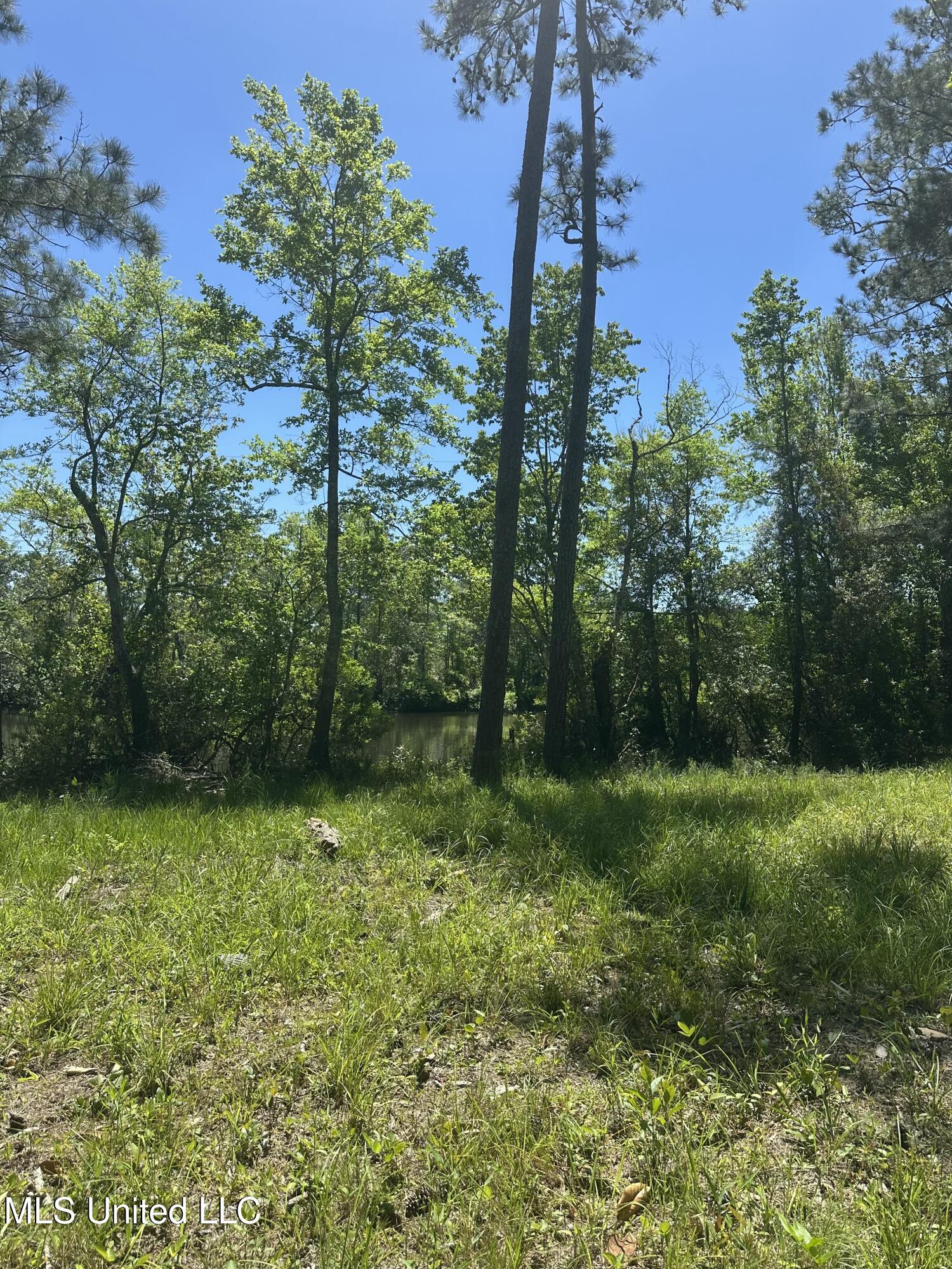 Riverland Drive, Biloxi, Mississippi image 12