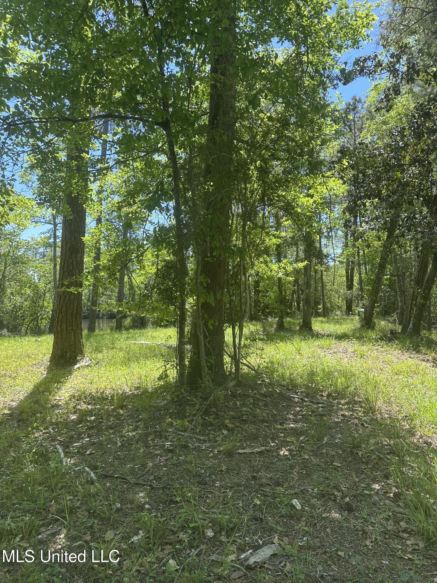 Riverland Drive, Biloxi, Mississippi image 13