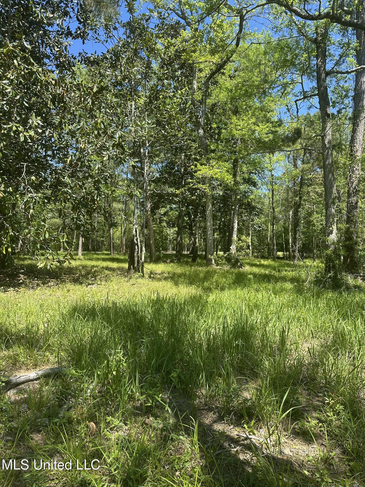Riverland Drive, Biloxi, Mississippi image 11