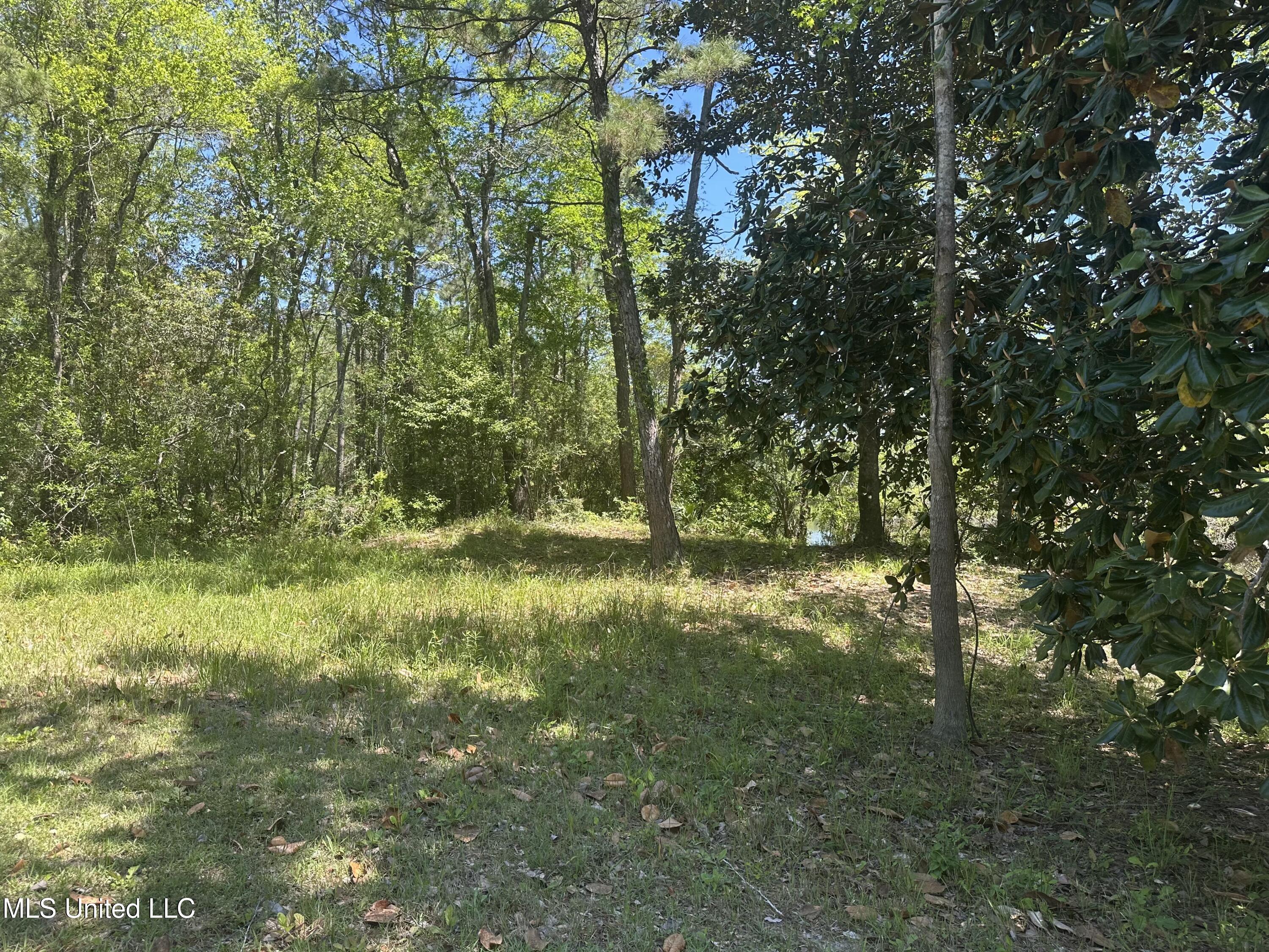 Riverland Drive, Biloxi, Mississippi image 6