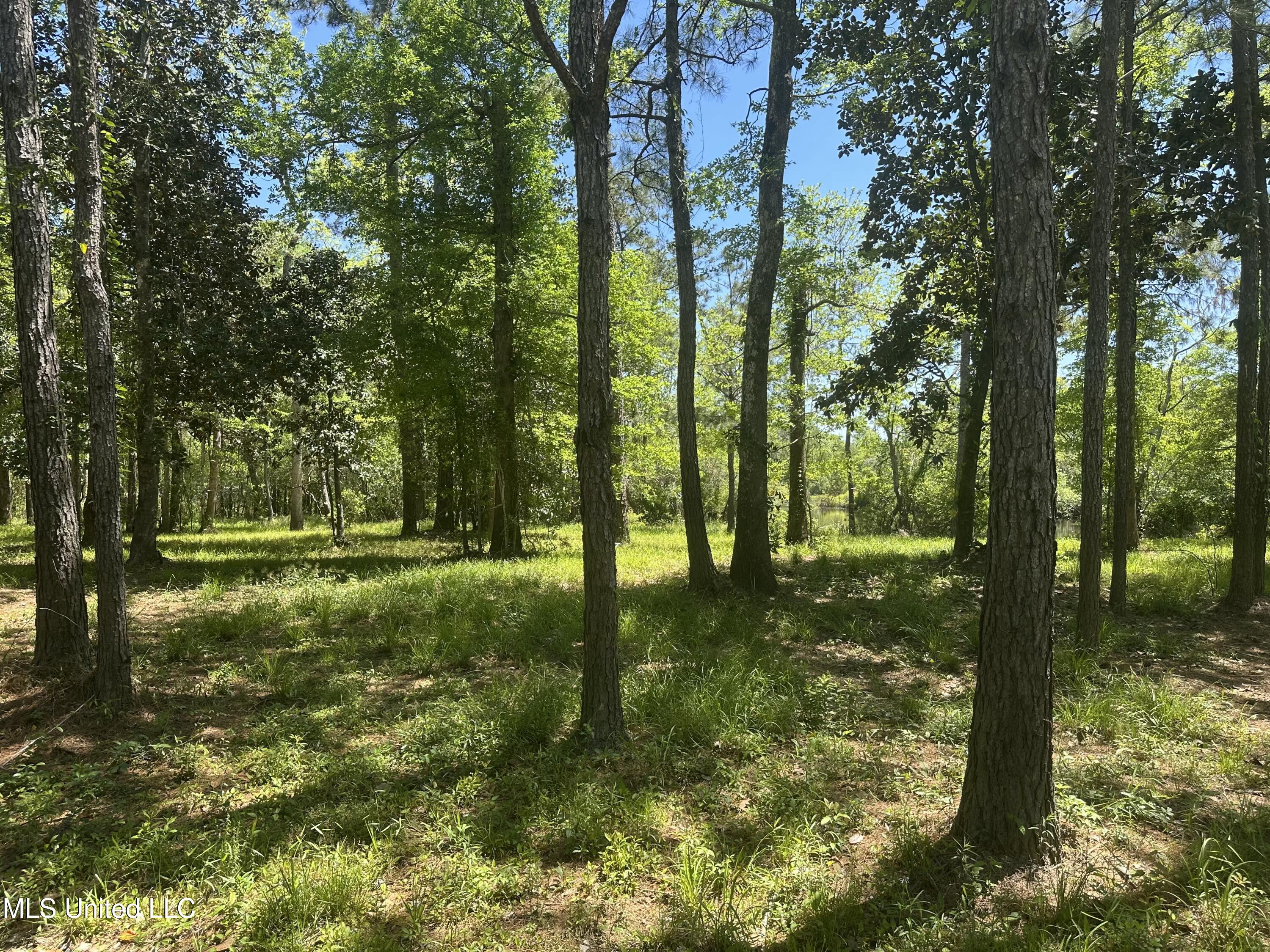 Riverland Drive, Biloxi, Mississippi image 8