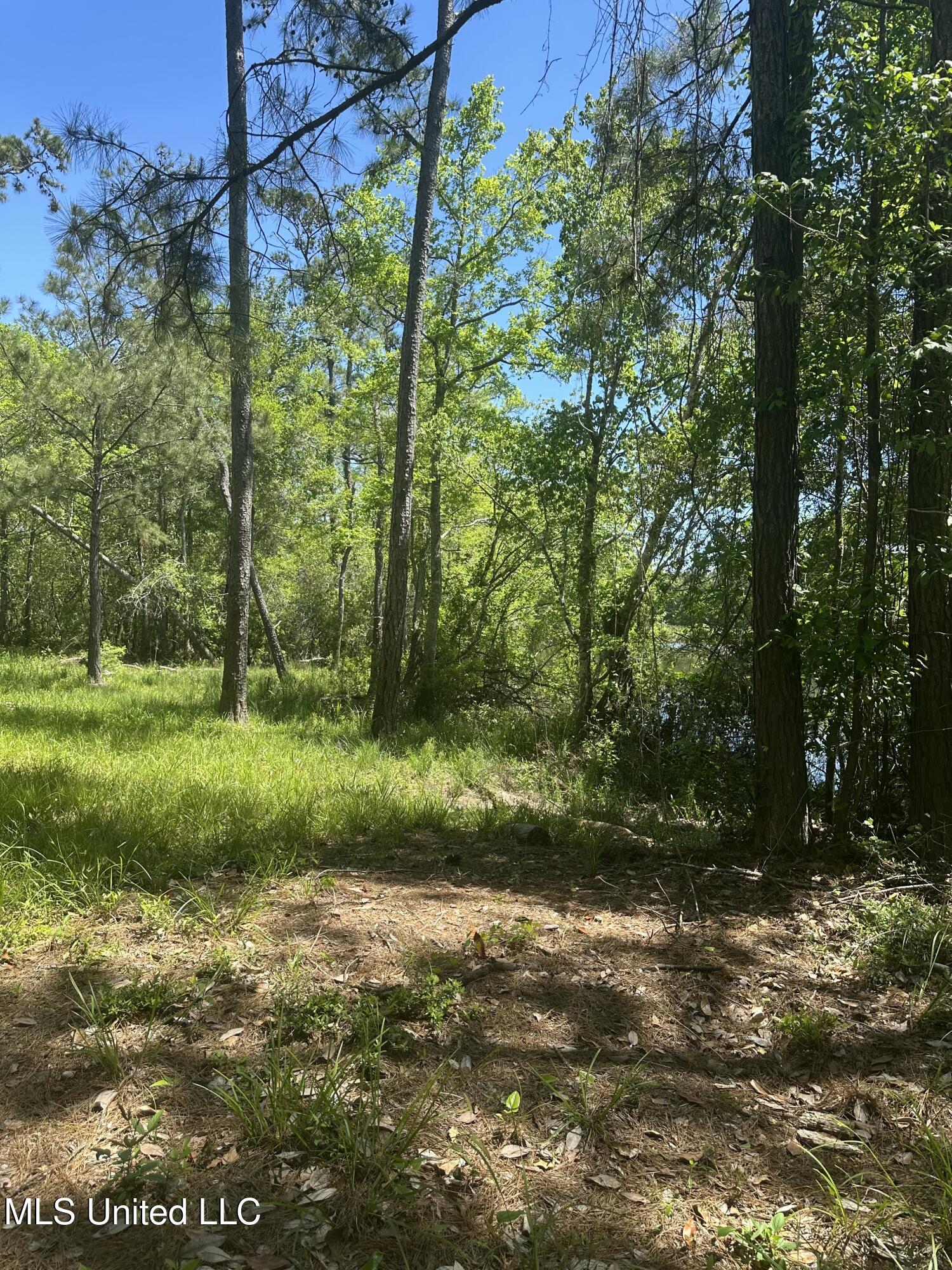 Riverland Drive, Biloxi, Mississippi image 9
