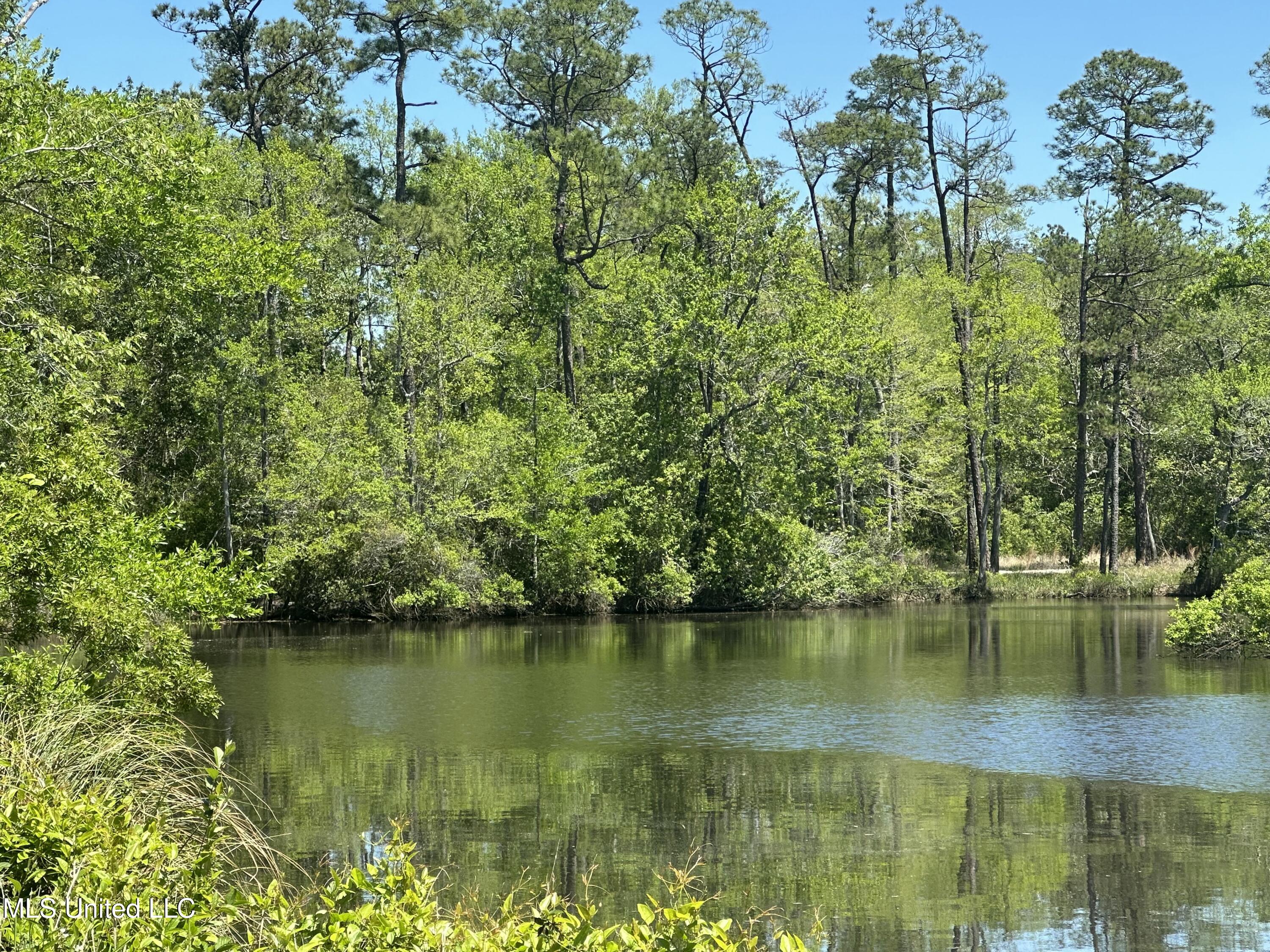Riverland Drive, Biloxi, Mississippi image 4