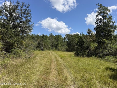 Vacant Land For Sale - Hartery<br/> Saucier, MS 39574