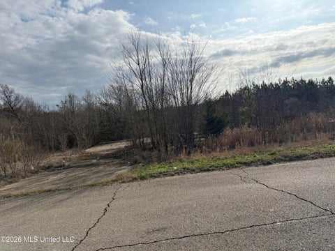 Vacant Land For Sale - Eiland Avenue<br/> Winston County, Louisville, MS 39339