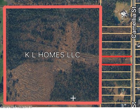 Vacant Land For Sale - Camellia Street<br/> Kiln, MS 39556
