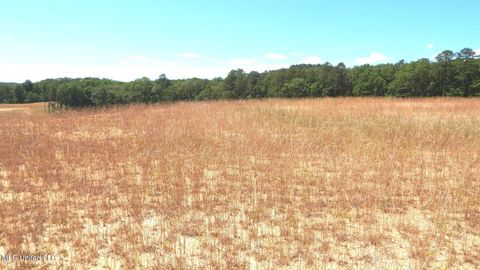 Vacant Land For Sale - 612A Hugh White State Park Road<br/> Grenada, MS 38901