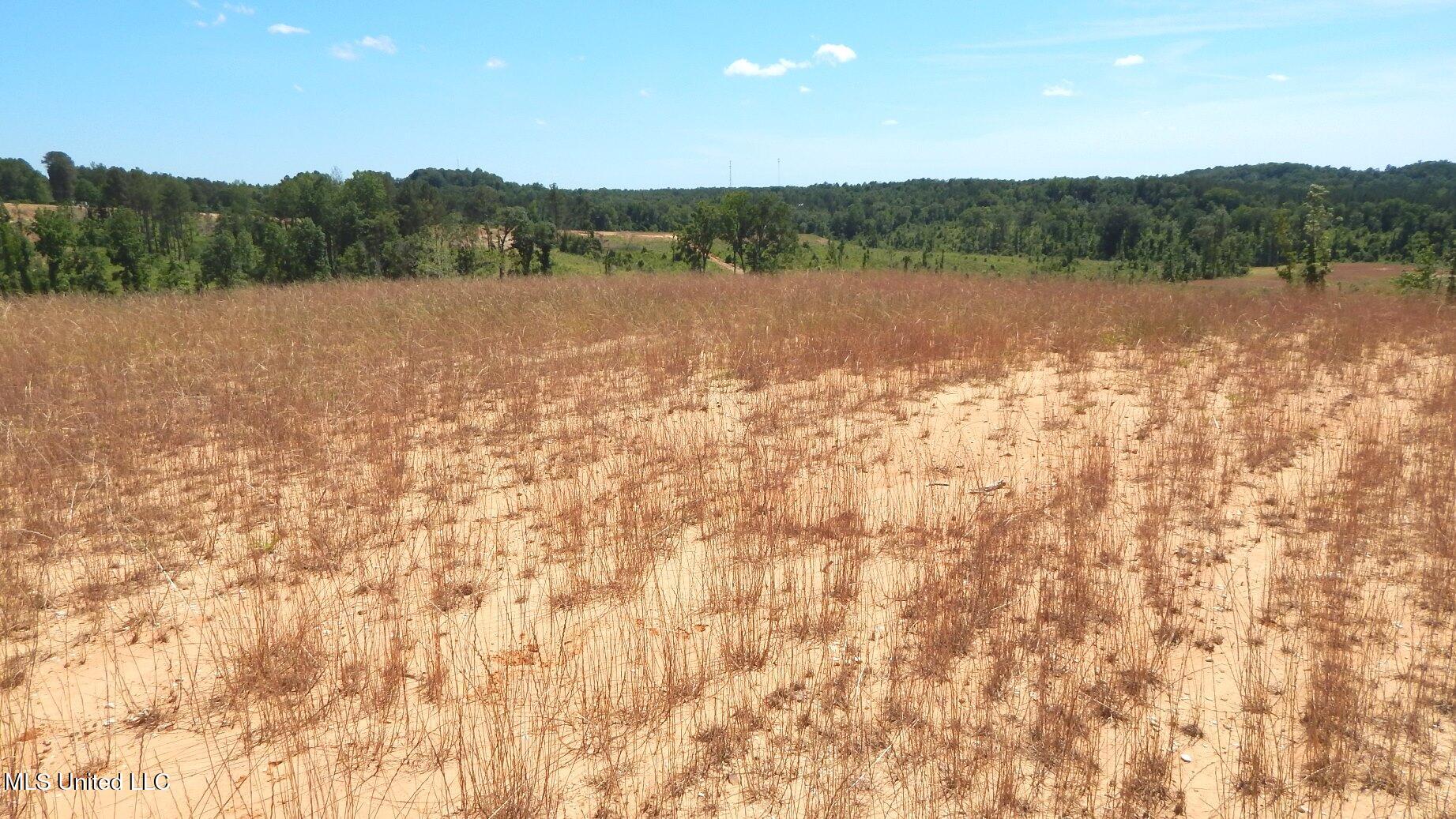 612a Hugh White State Park Road, Grenada, Mississippi image 4