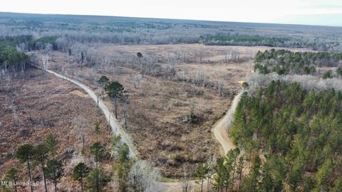 Vacant Land For Sale - 3 Prentiss Crump Road<br/> Terry, MS 39170