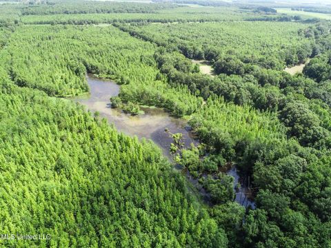 Vacant Land For Sale - 278<br/> Quitman County, Marks, MS 38646