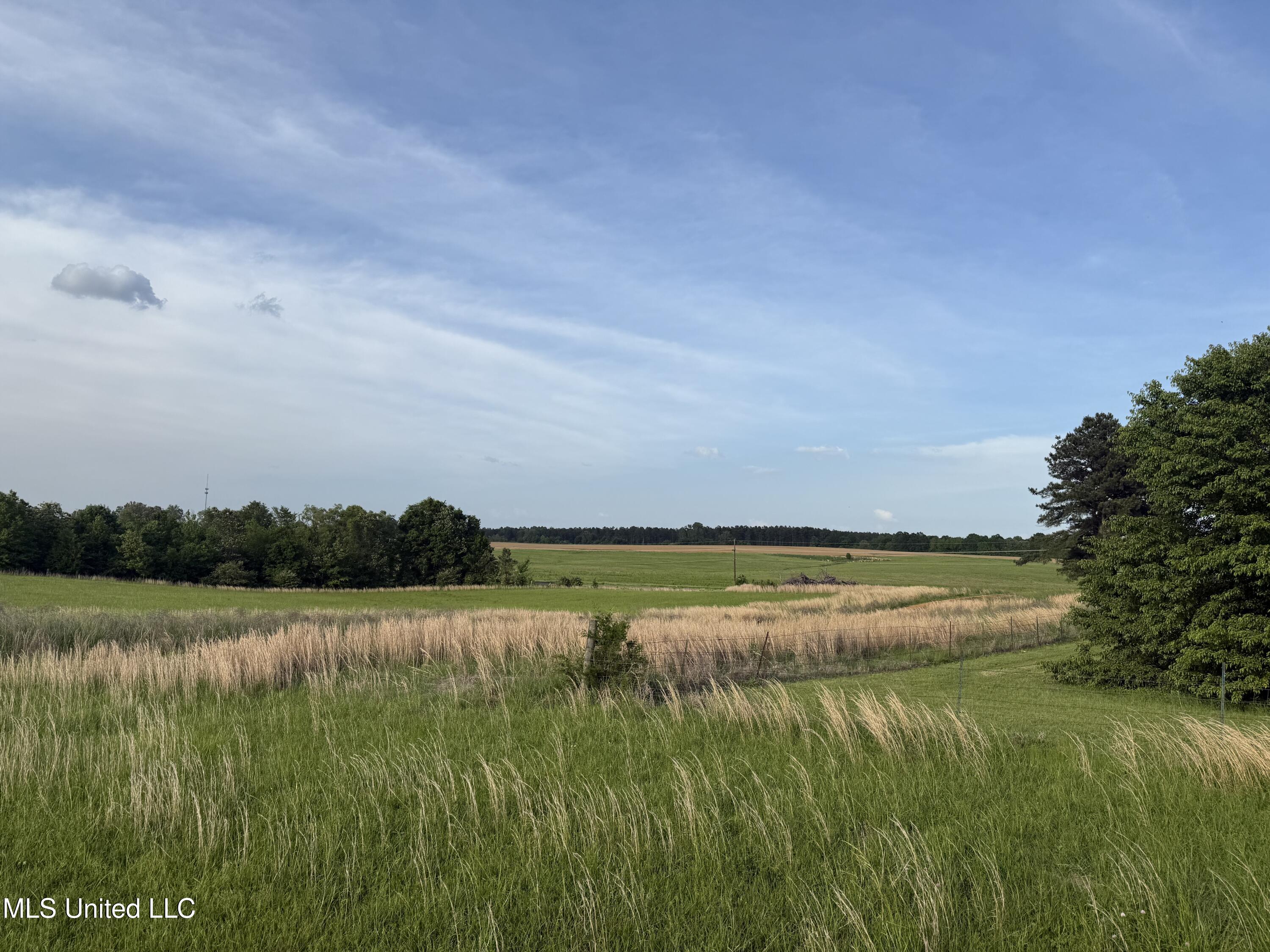 25523 Highway 51, Como, Mississippi image 1