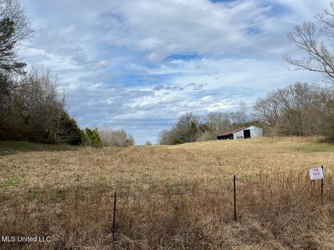 Vacant Land For Sale - 207 Wallace Drive<br/> Coldwater, MS 38618