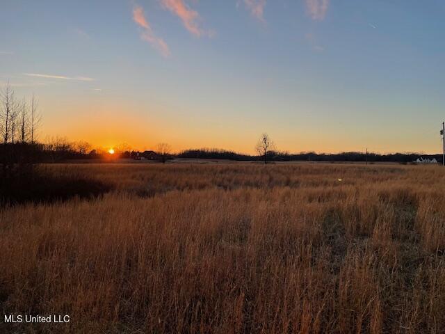 Winter Oaks, Lamar, Mississippi image 5