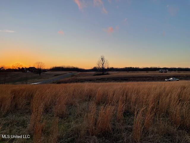 Winter Oaks, Lamar, Mississippi image 6