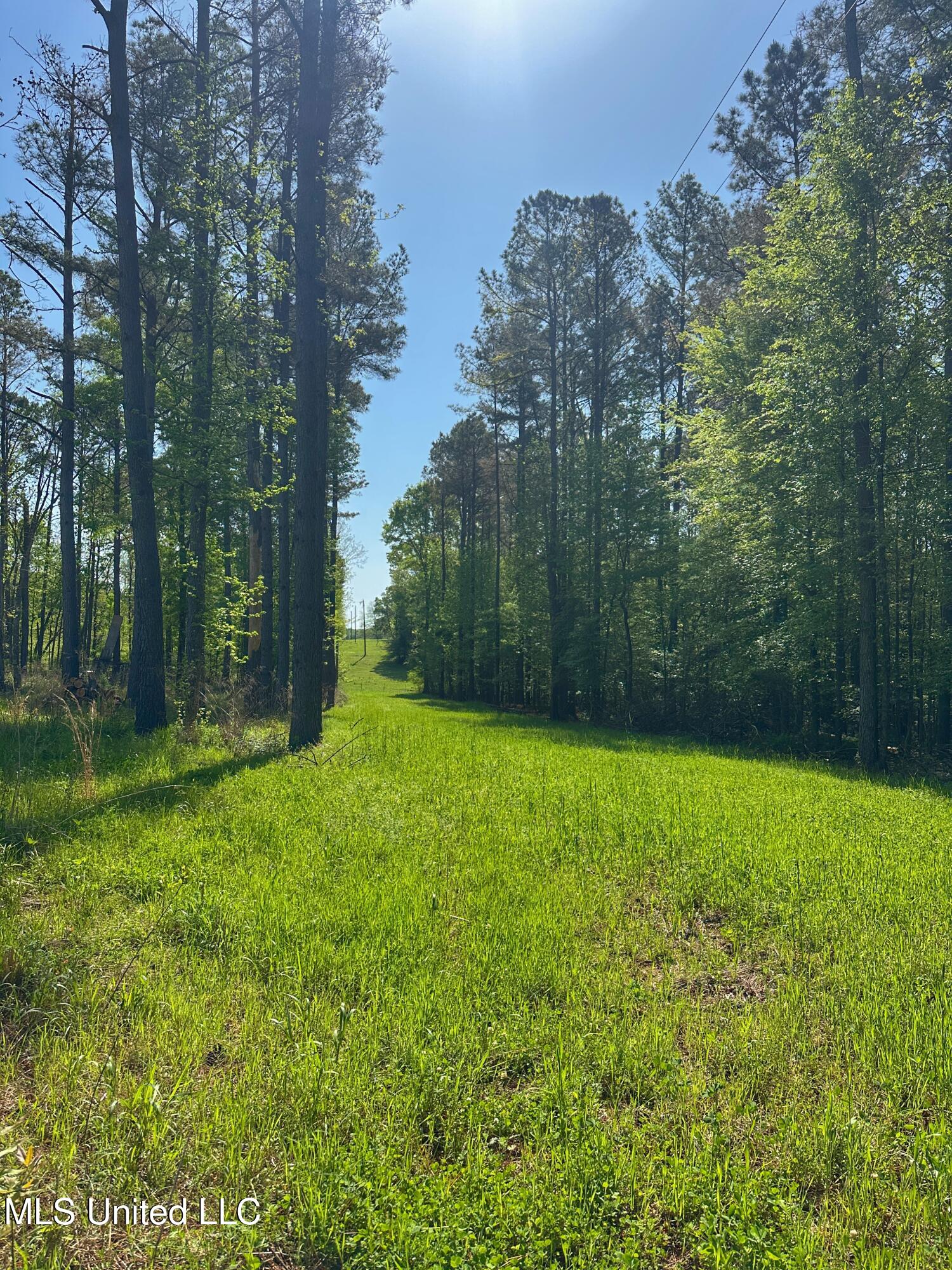 700 Rathell Road, Lexington, Mississippi image 48