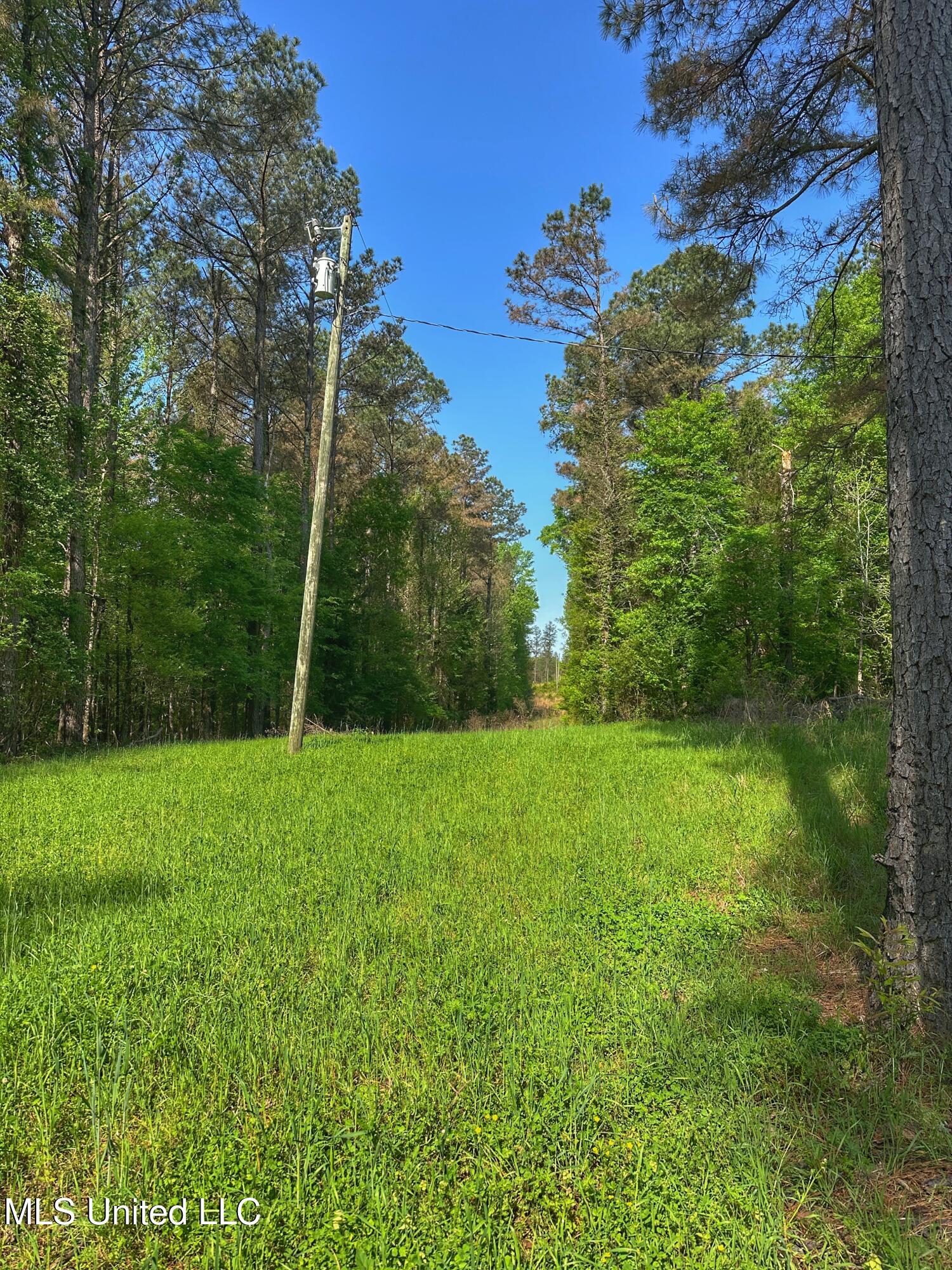 700 Rathell Road, Lexington, Mississippi image 47