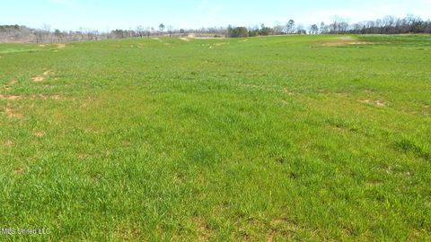 Vacant Land For Sale - 769 Graysport Crossing Road<br/> Gore Springs, MS 38929