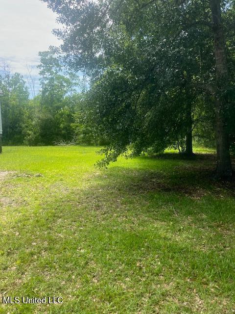 909 Sears Avenue, Waveland, Mississippi image 7