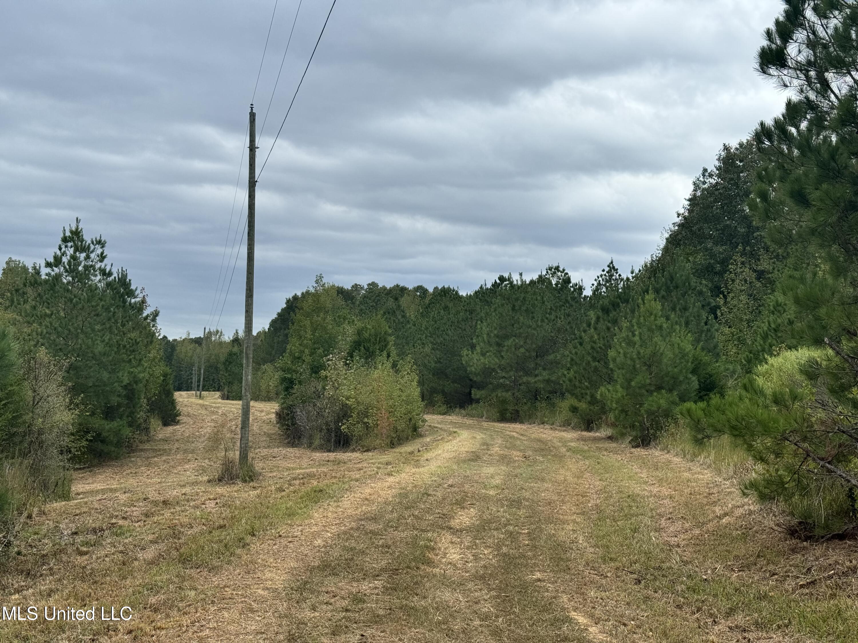 Racetrack Road, West, Mississippi image 16